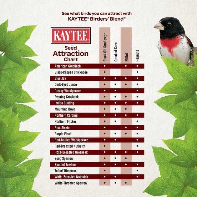Birders Blend Wild Bird Food S17738