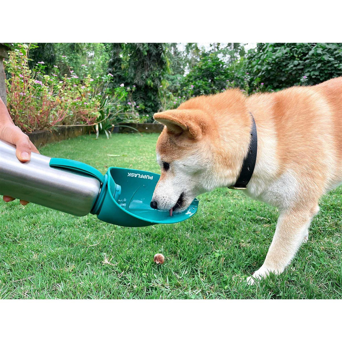 Large Stainless Steel Dog Water Bottle T500