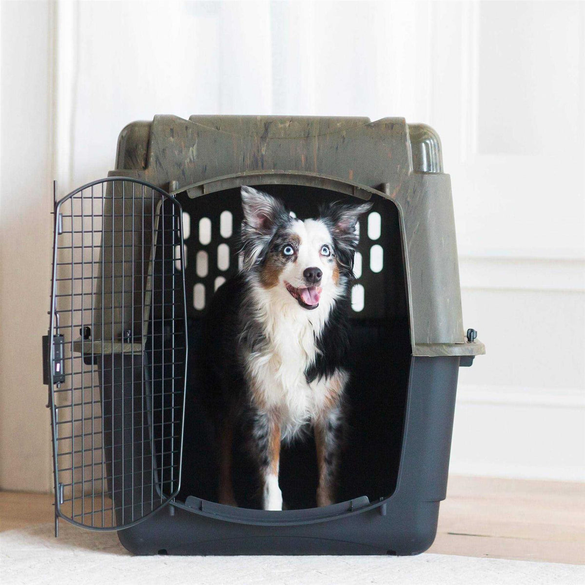 Kennel S4906