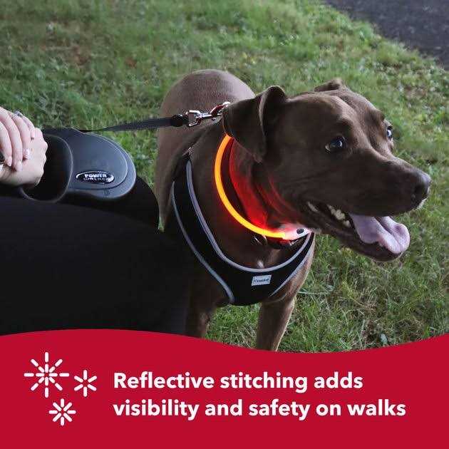 Retractable Dog Leash I490047