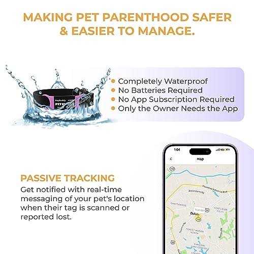 Noiseless QR Code Pet Tag Y570352