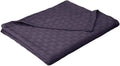 avy blue cotton blanket T96934