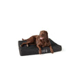 Orthopedic Dog Bed N972