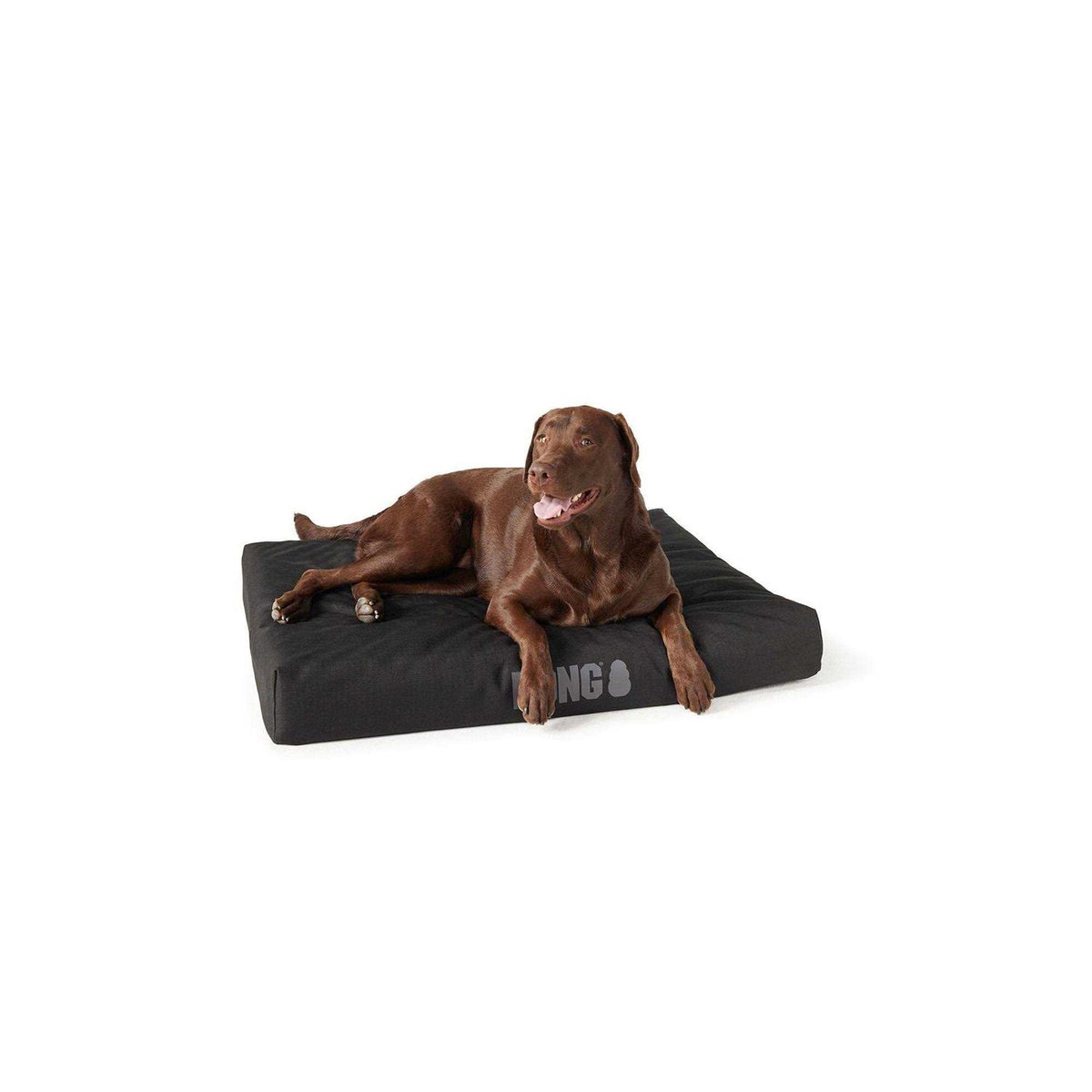 Orthopedic Dog Bed N972