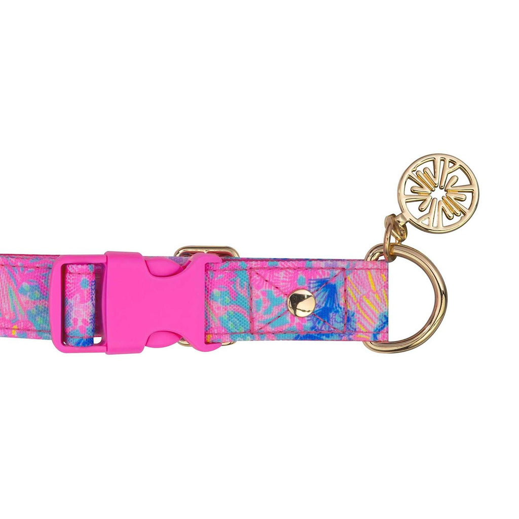 Dog Collar C494