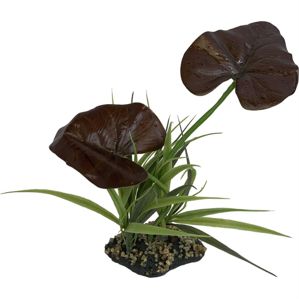 Canopy Plant K62380