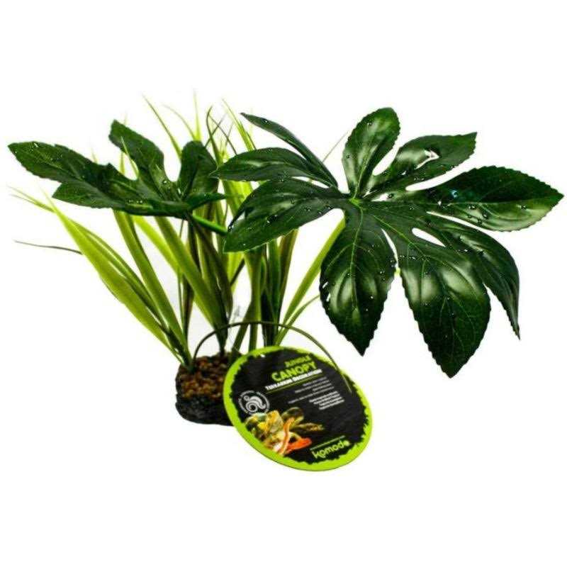 Canopy Plant K62380