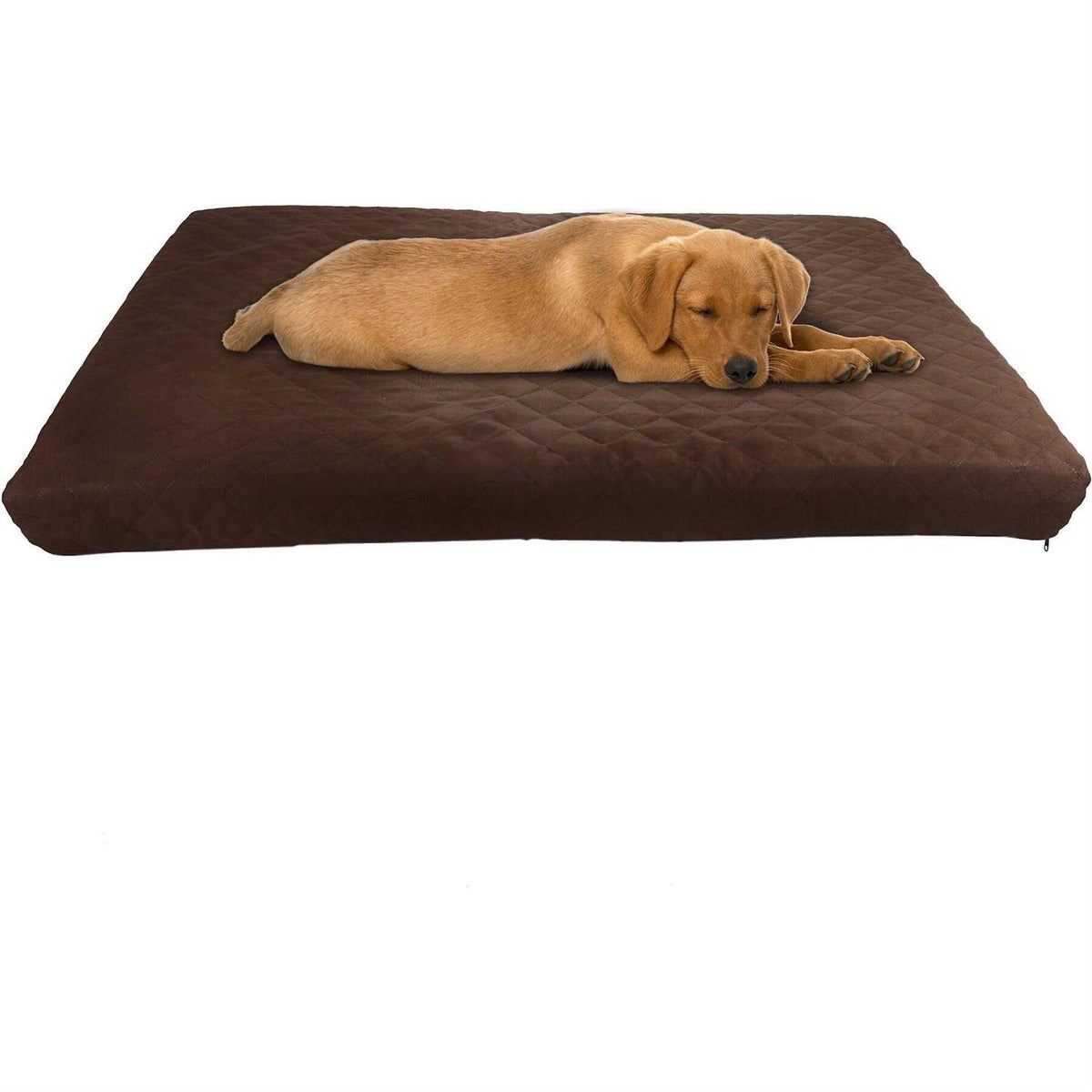 Waterproof Indoor/Outdoor Memory Foam Pet Bed A2173