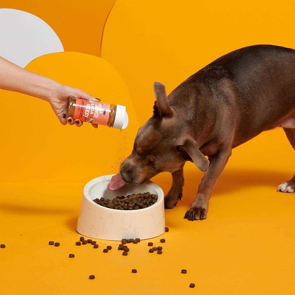 Chicken High Protein Dry Dog Food Topper V4446