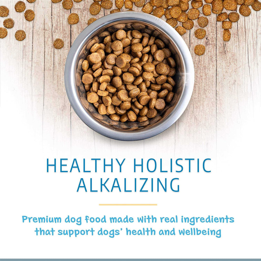 Grain-Free Dry Dog Food N972