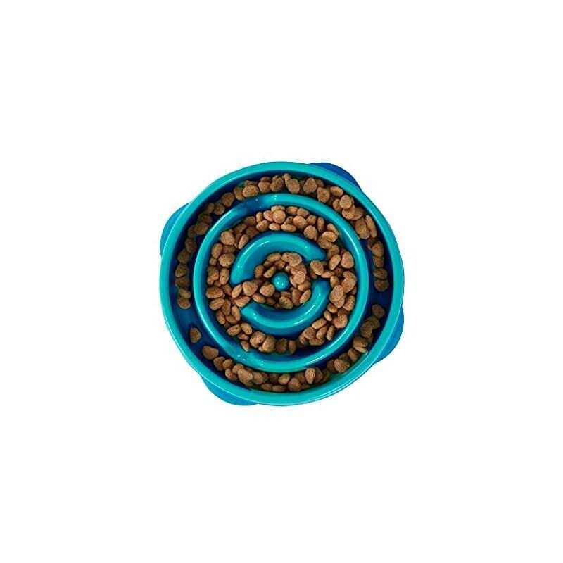 Slow Dog Bowl E3953