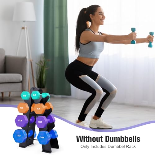 Compact A-Frame Dumbbell Rack Stand with Handle & Non-Slip Base V354425