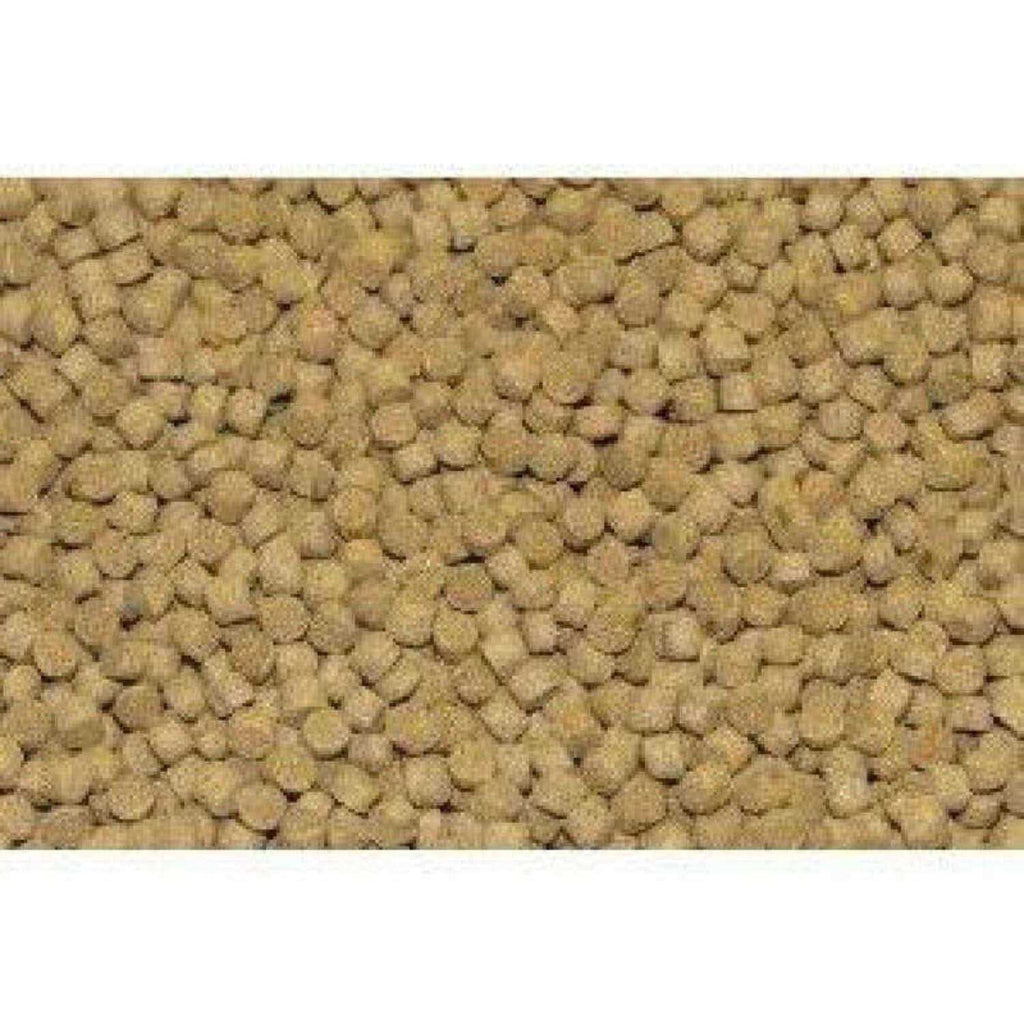 Cichlid Formula R60416