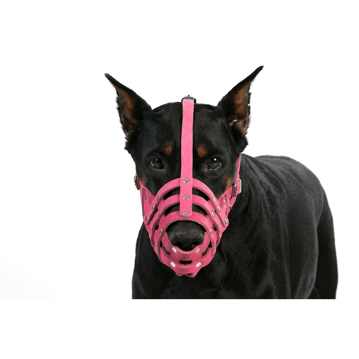 Leather Dog Muzzle Medium Large Breeds J35837