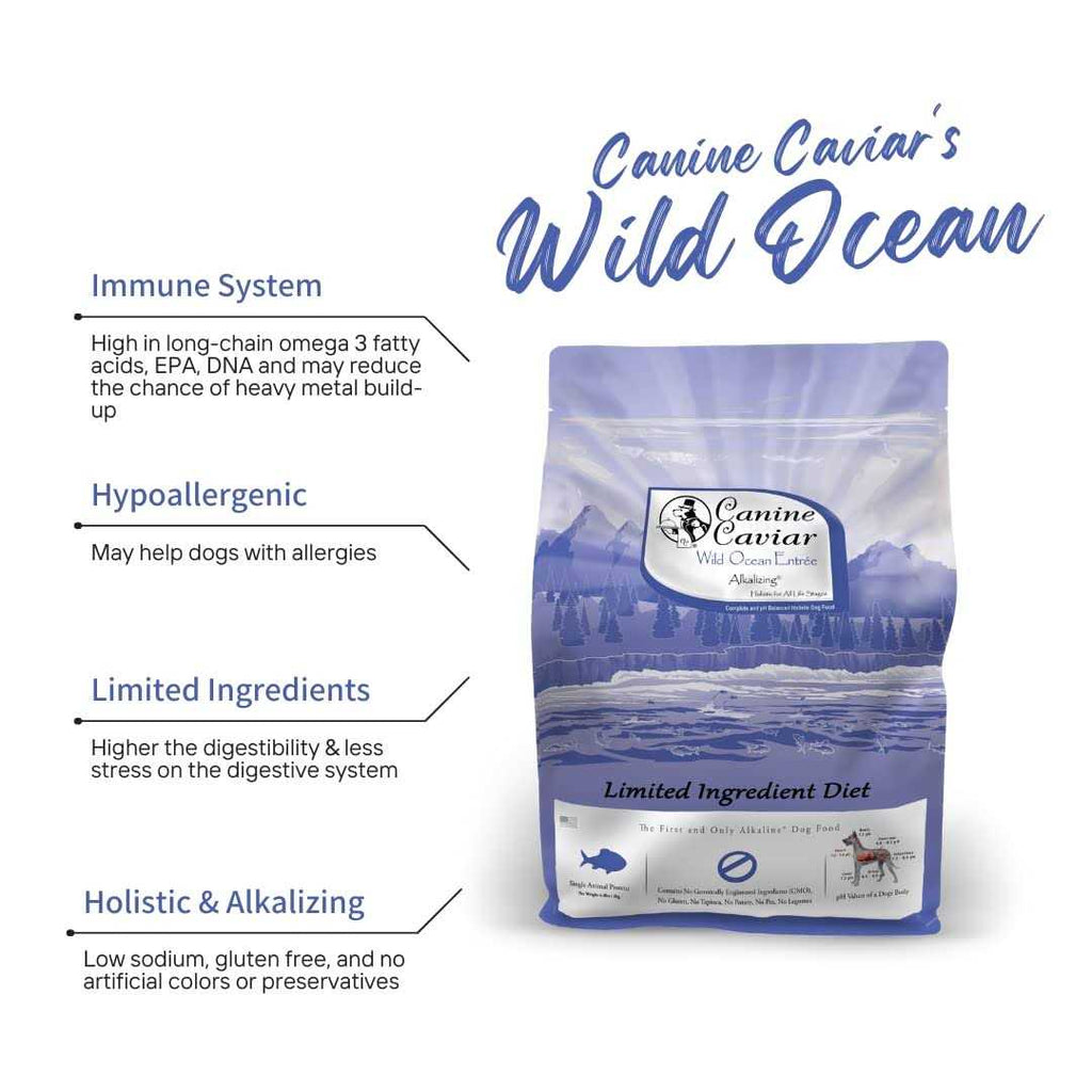 Grain-Free Dry Dog Food N972